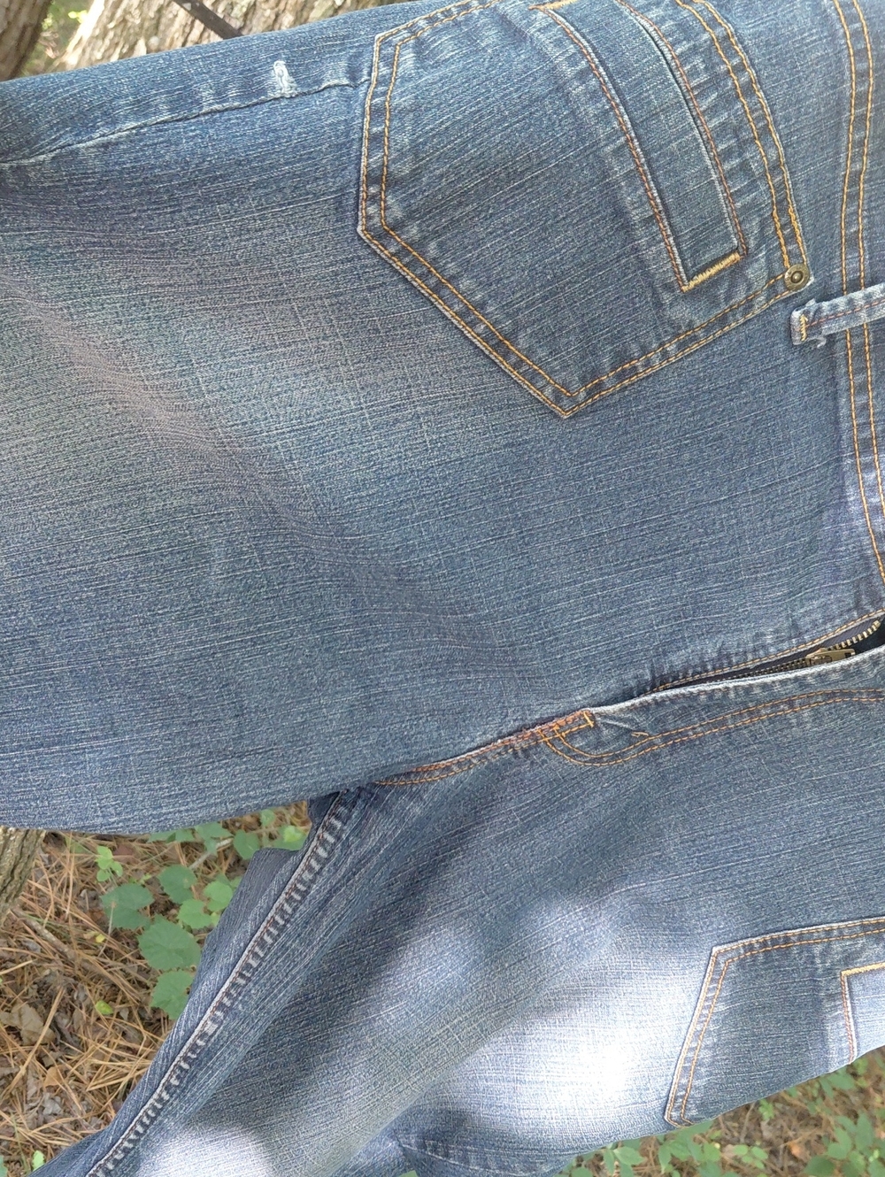 Signature by Levi Strauss Blue Cropped Women's Jeans